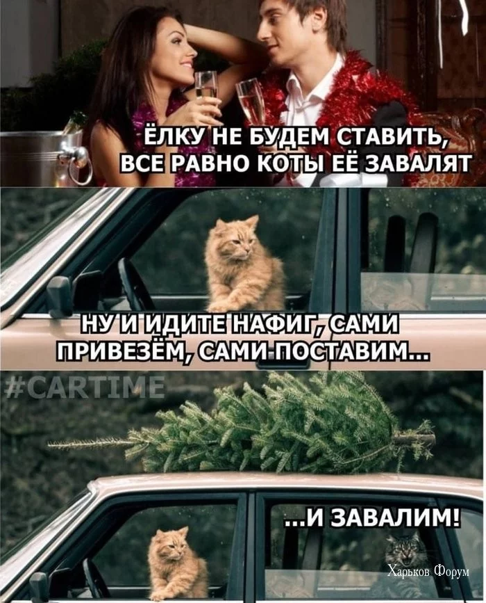 fdf2f16b9e983ba0ca4a343.webp