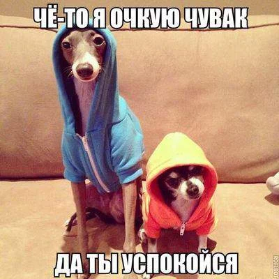 fdh5gh.webp