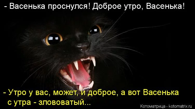 fdjh4j.webp