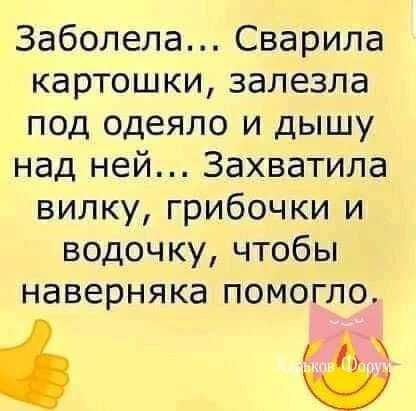 fe01b295019dc8c7eb1719.webp