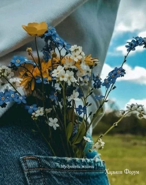 fe11560e34ac7bb94.webp