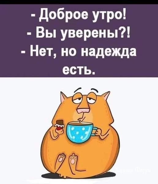 fe35795c1fdbcd4f3.webp