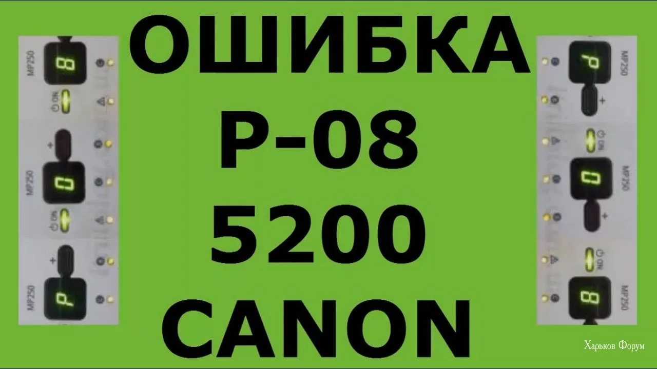 fe40c8a33020ec7522a8d59d.webp