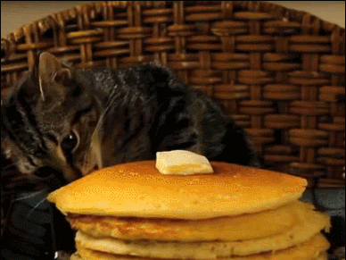 fe4b9b2793280f5ff.gif