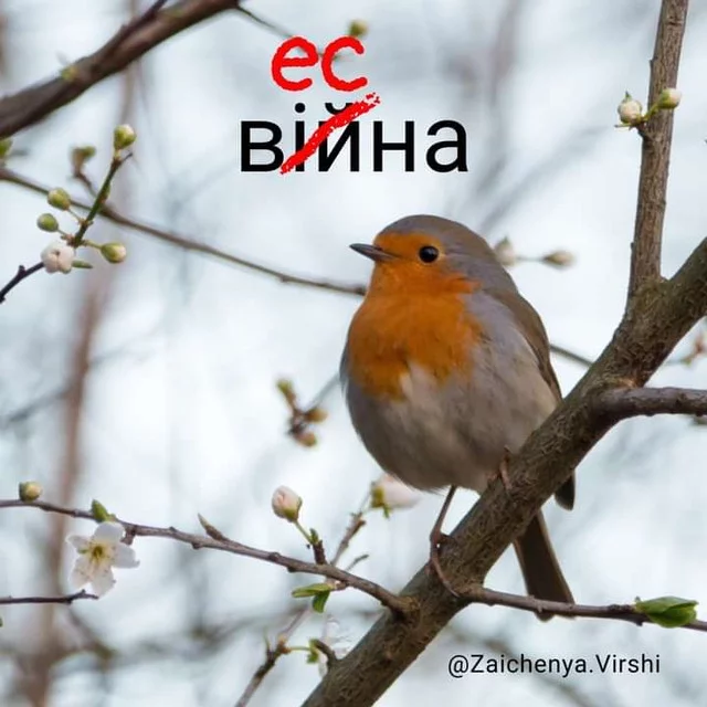 FE51-FCB1-C846-47-B8-932-B-F8313-EC2-D2-F2.webp
