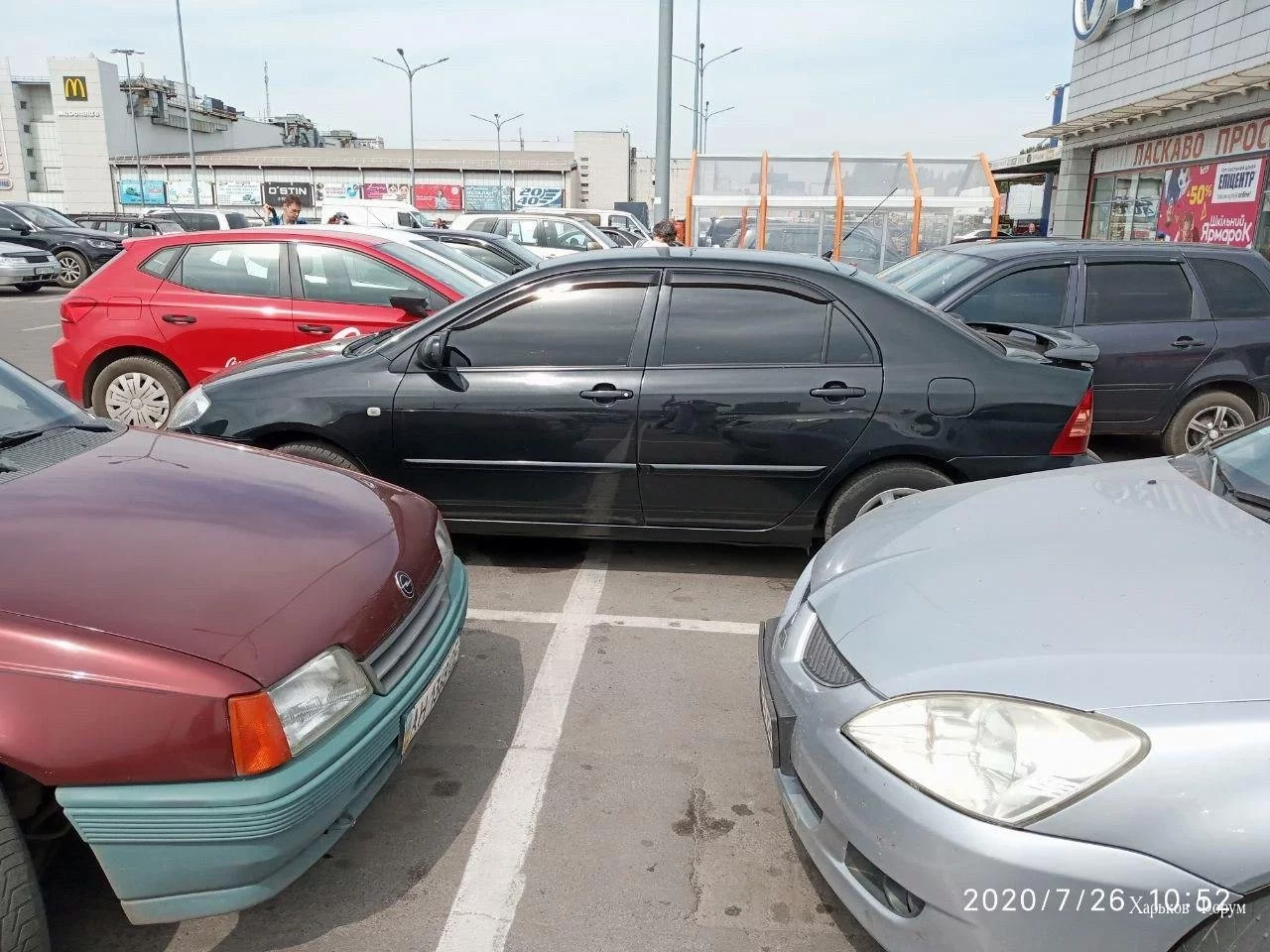 fe6168a25124c064e939c34.webp