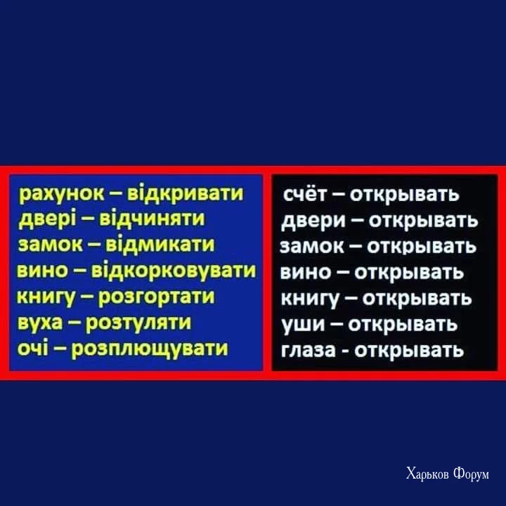 fe660dc2e67fc51ce4e1a34.webp