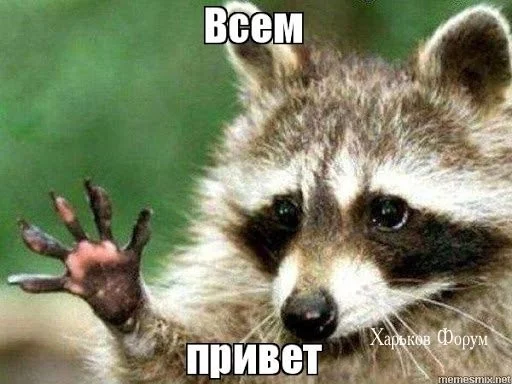 fe69833db9aa4fbb0.webp