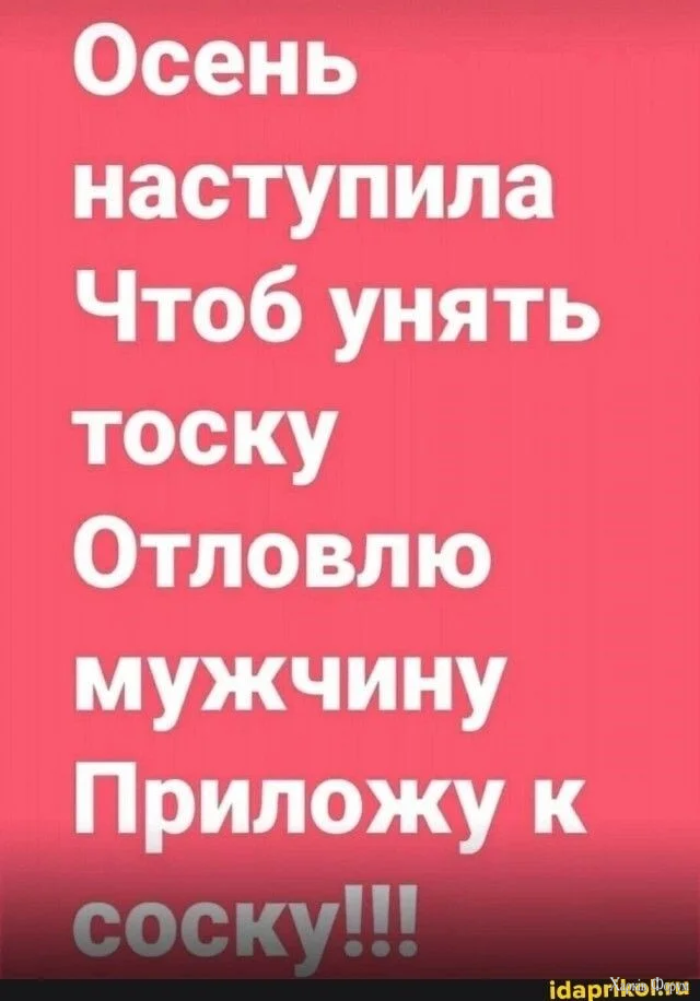 fe836cffc29c1ced46020fb5f164ef39.webp