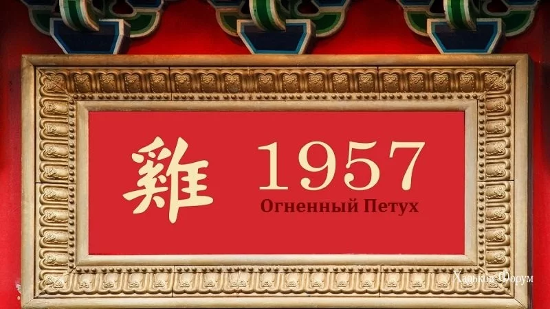 fe875c1125beaa92.webp