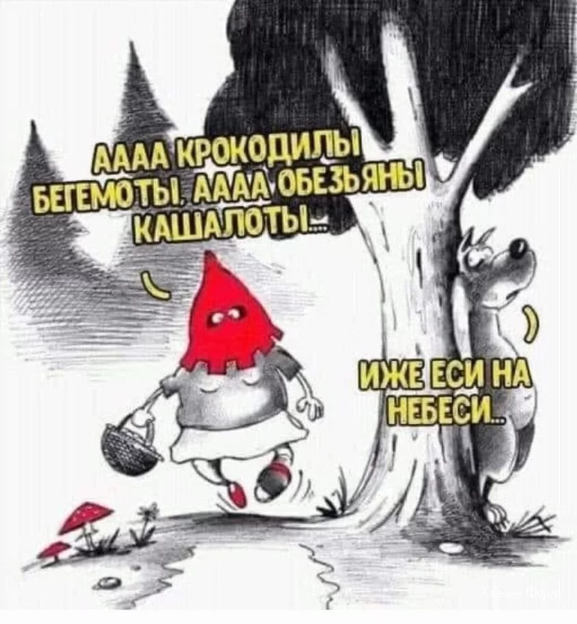 fe892ec71c03fa2bbcc7.webp
