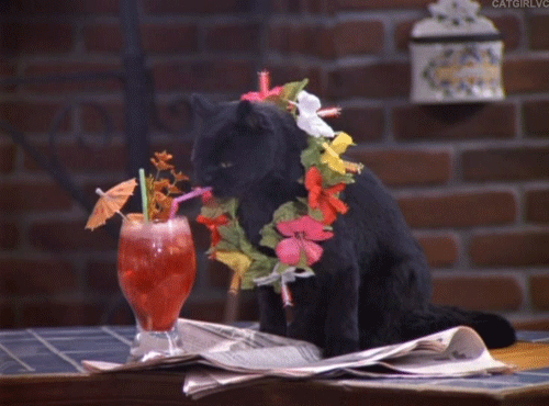 feb49ae62ddb499a1dbd.gif