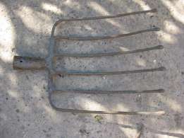 febcf6.jpg