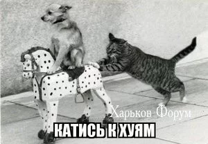 febe7f709e4d1b597173438f.webp