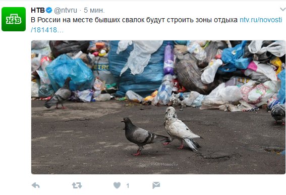 febg7b.jpg