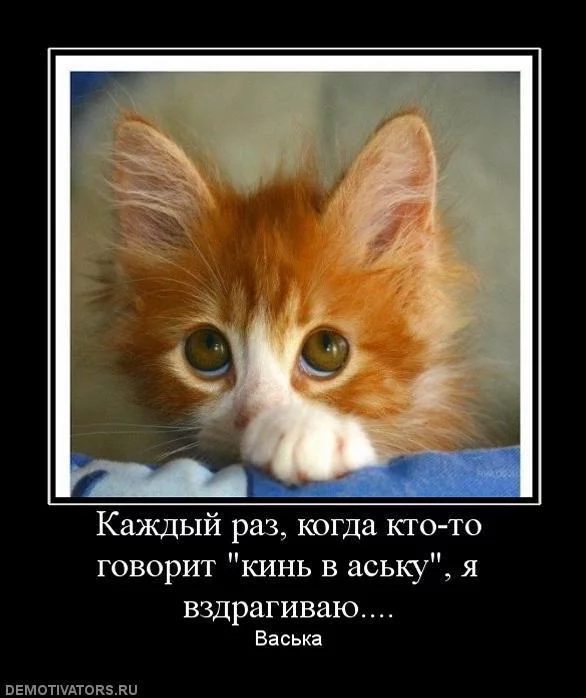 fec5ec.webp
