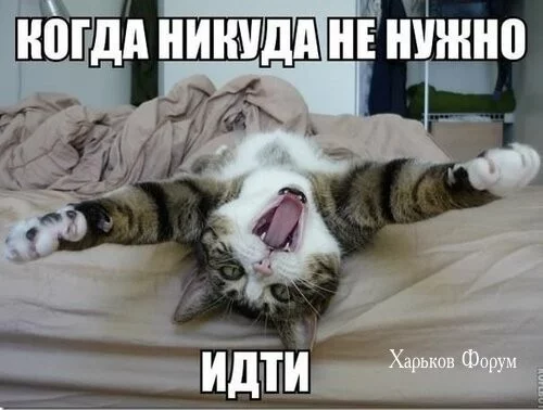 fec8850651f7d9c7e904d46.webp
