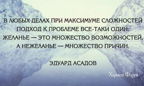fecba71e465d06592bb4.webp