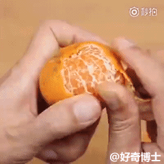 fecg3b.gif