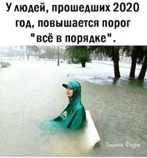 fed5e35fd96fbb6930d65.webp