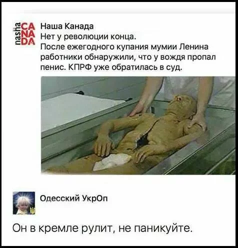 fedj1a.webp