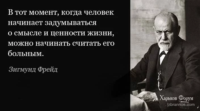 fee0ff2b38cdc5a5c9dba828.webp
