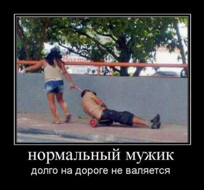 fee2hf.webp