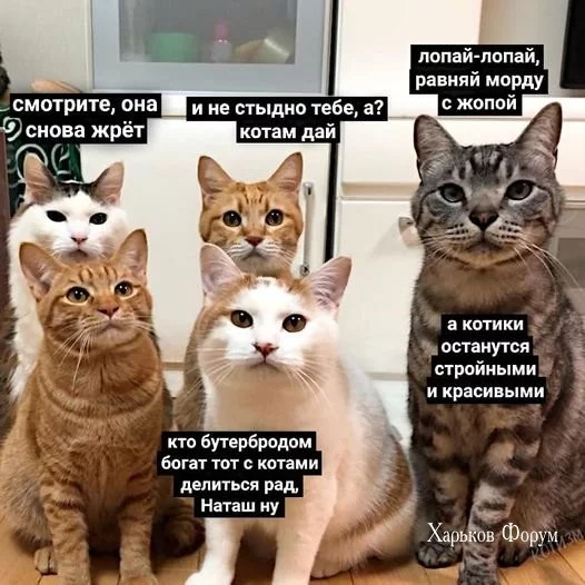 fee959655bf3c08fe140.webp