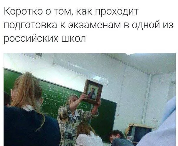 feed2g.webp