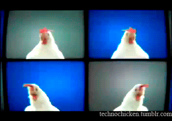feggg2.gif