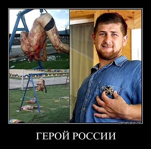 feghj0.webp