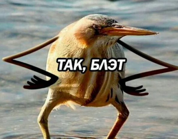 fehbg4.webp