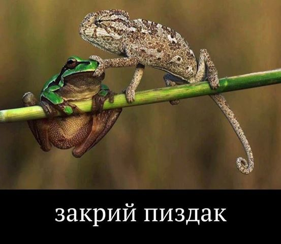 fejbf5.png