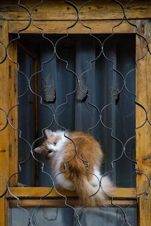 FEPTmJHXsAUaOYR?format=jpg&name=900x900.webp