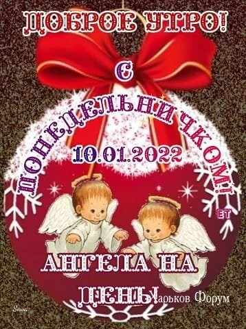 ff06cc77e423ff6d.webp