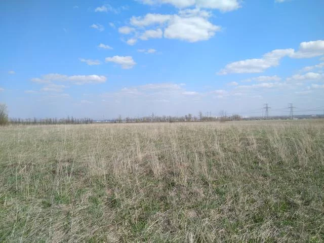 ff0bjf.webp