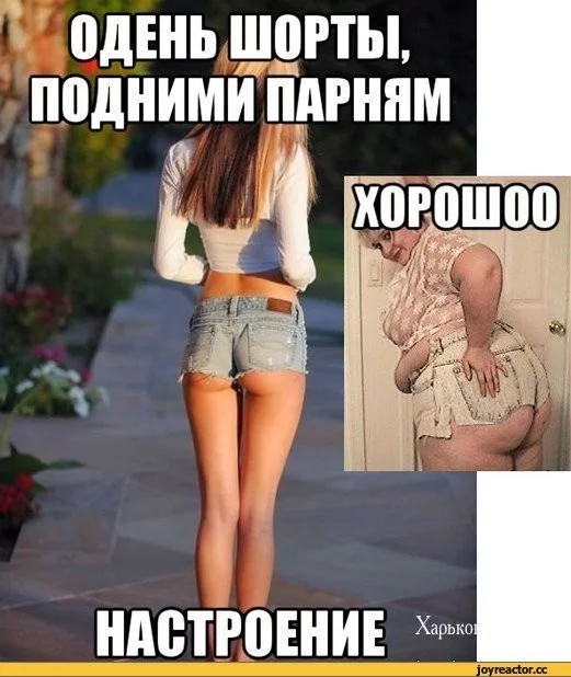ff134992478e9f0e583113e.webp