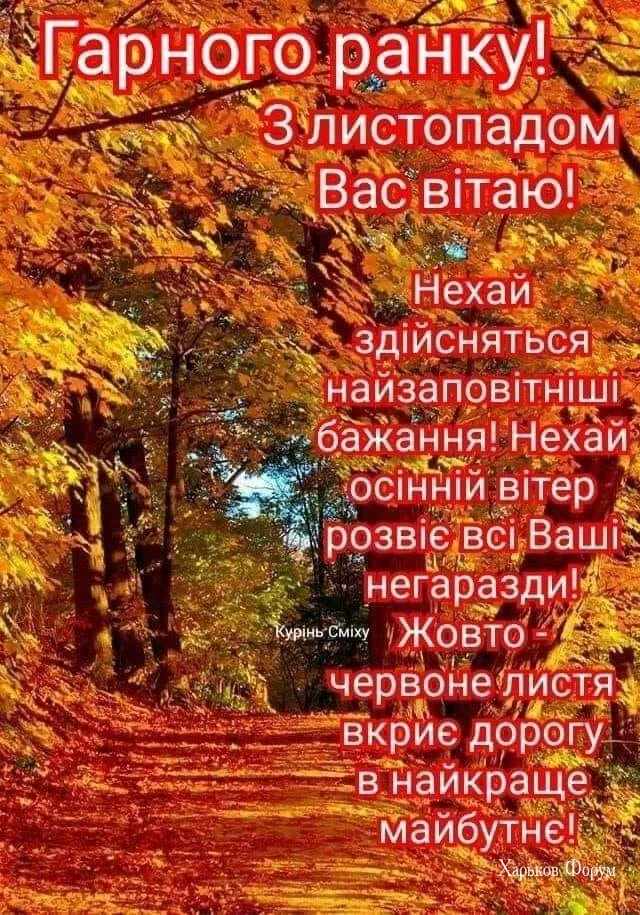 ff24604180cf8fe2d.webp