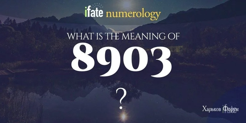 ff317a2ac53d43837ac19.webp