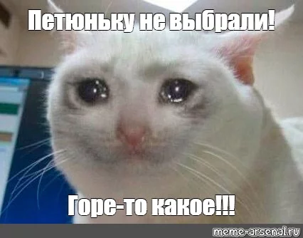 ff3hfh.webp