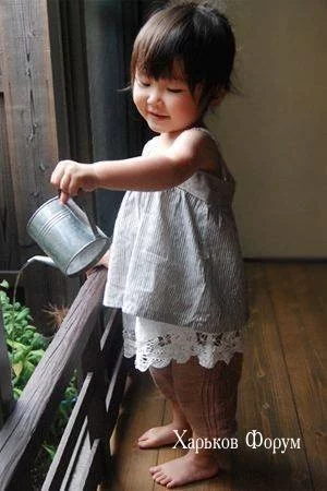 ff68d53a14fe70ad30.webp