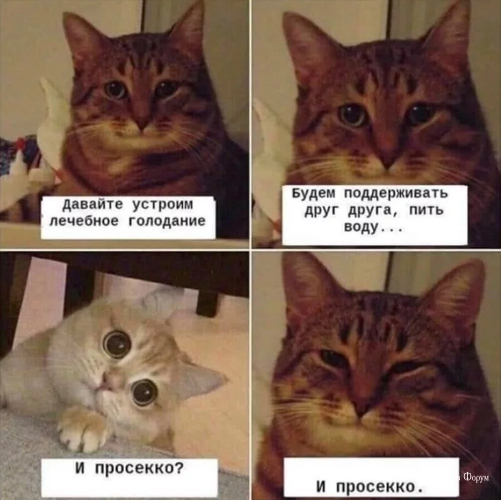 ff742e9744dfdd2273730.webp