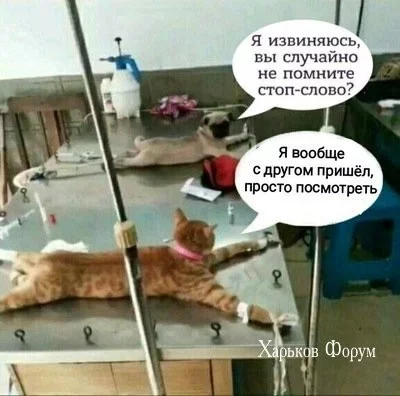 ff8d42c0e820cdc5d0a5.webp
