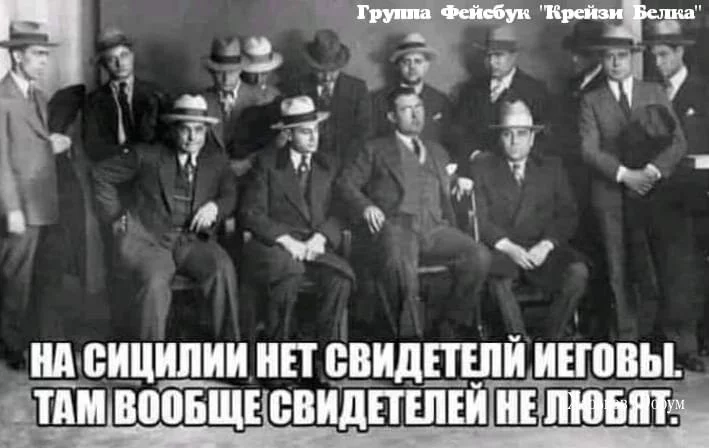 ff9895a14ba8ad5b9d6b9.webp