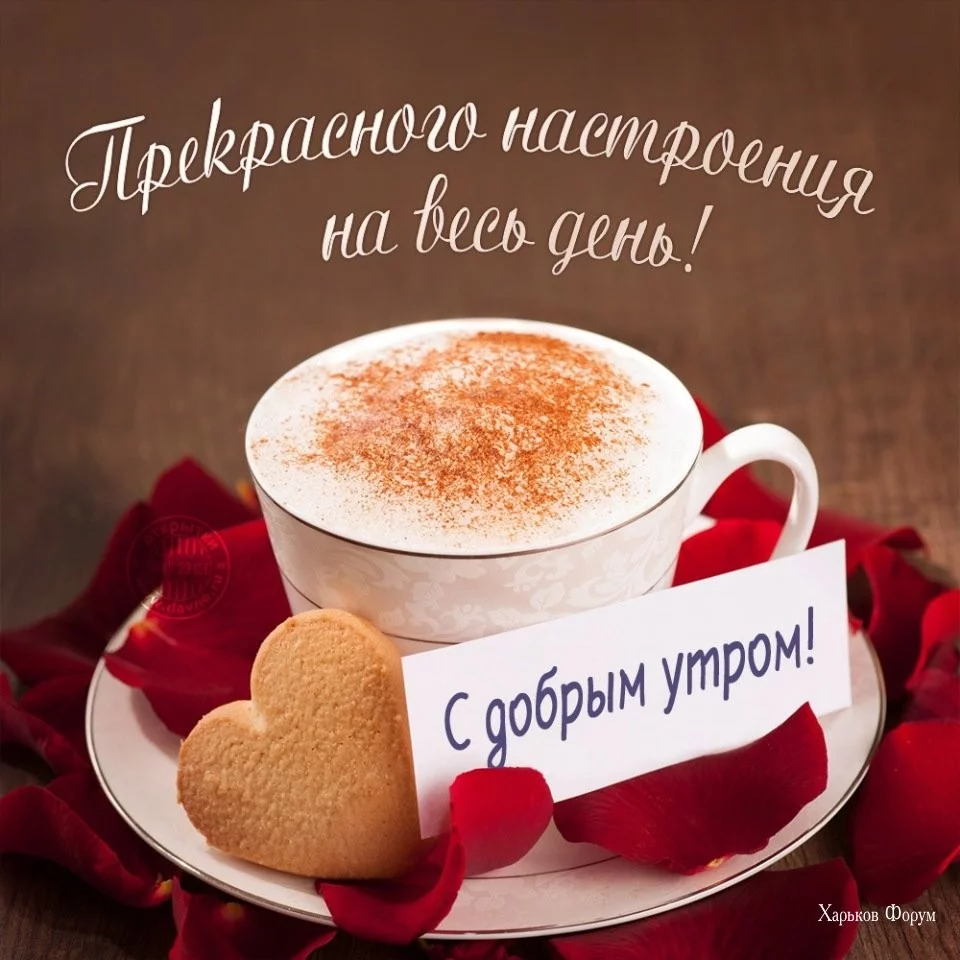 ff9c86b412c902877f73d303.webp