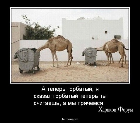 ff9d724fb4a14d82801d2.jpg