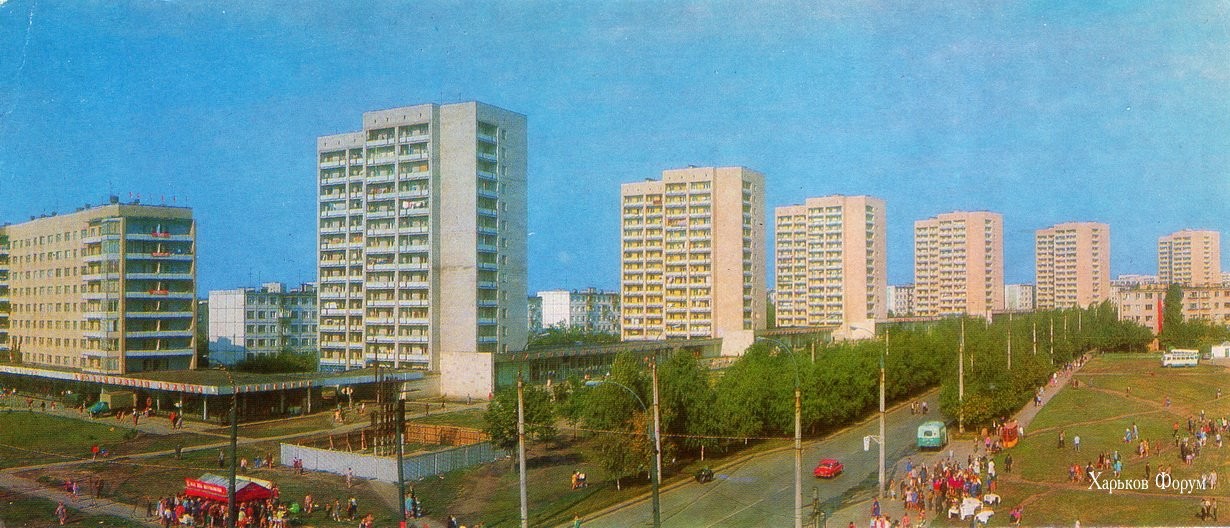 ffae120a6f1e4810f76af8aa.jpg
