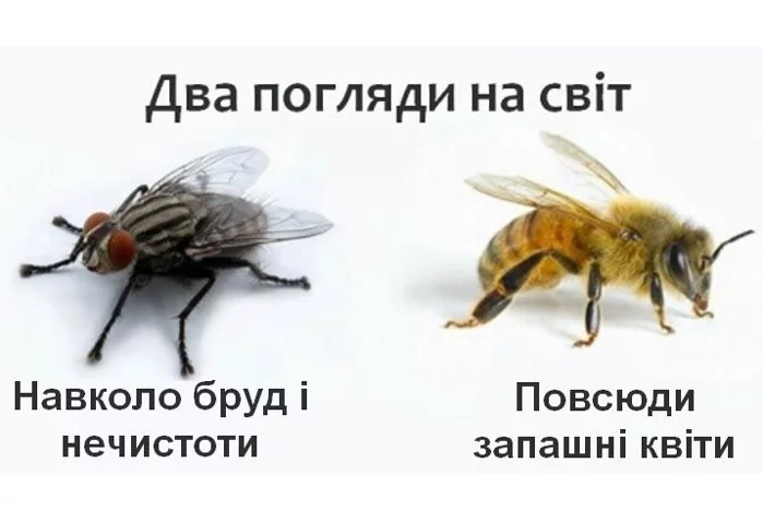 ffajg8.webp