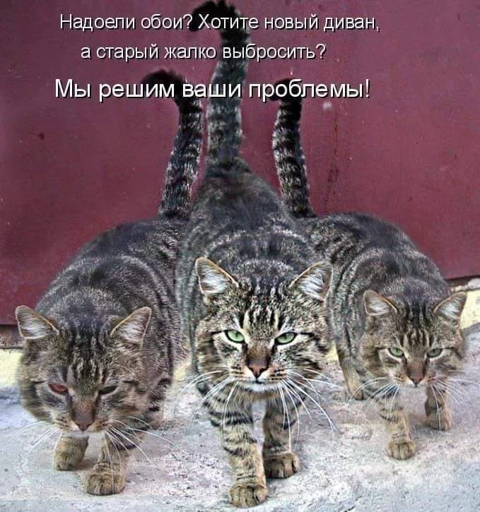 ffb0ce.webp