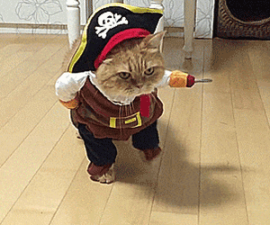 ffb1f73eb614e39e76a17.gif